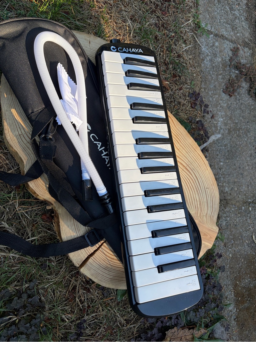 NWOT Cahaya 32-key Melodica witb Case